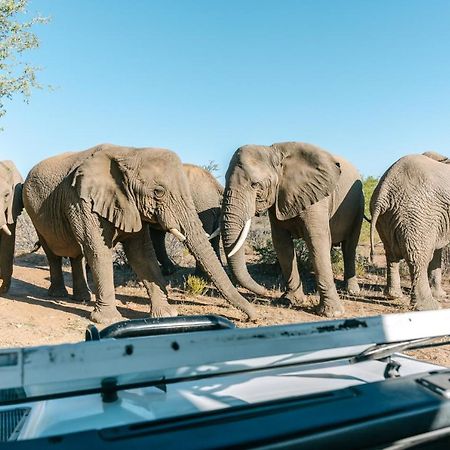 Omaruru Game Lodge エクステリア 写真