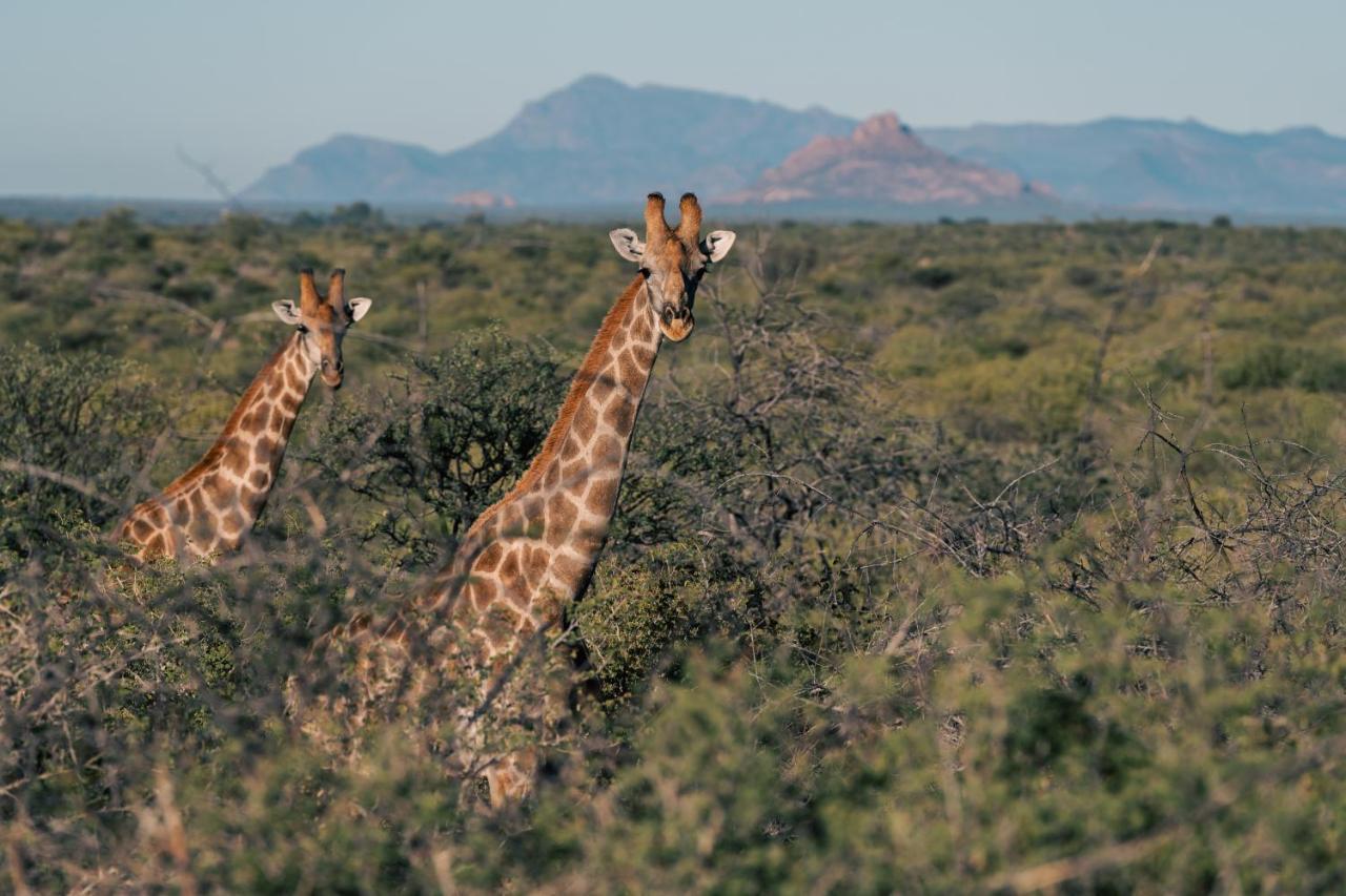 Omaruru Game Lodge エクステリア 写真