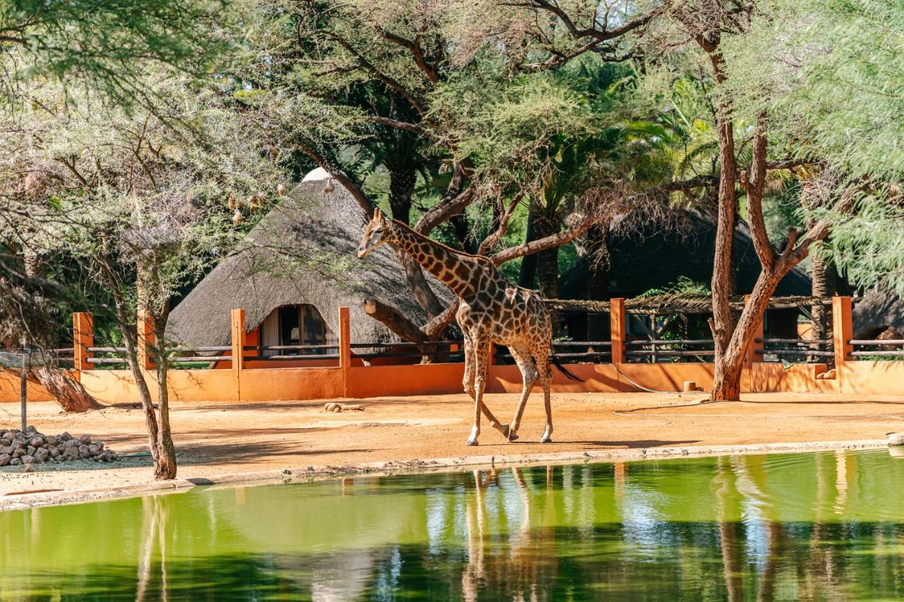 Omaruru Game Lodge エクステリア 写真