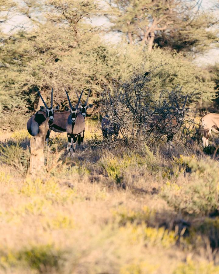 Omaruru Game Lodge エクステリア 写真