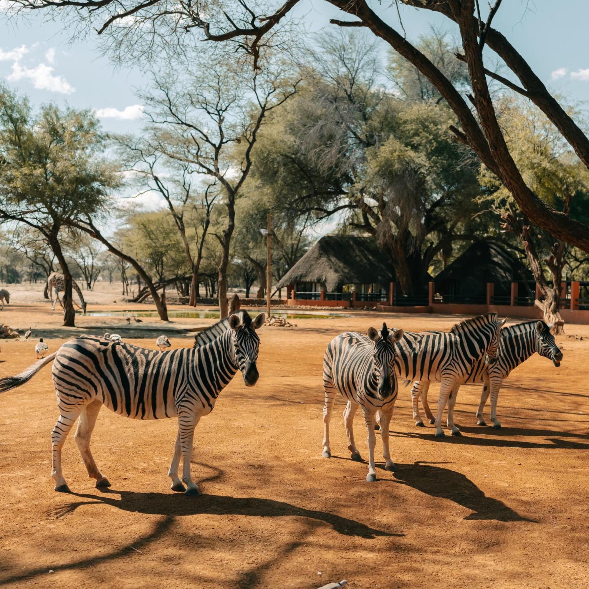 Omaruru Game Lodge エクステリア 写真