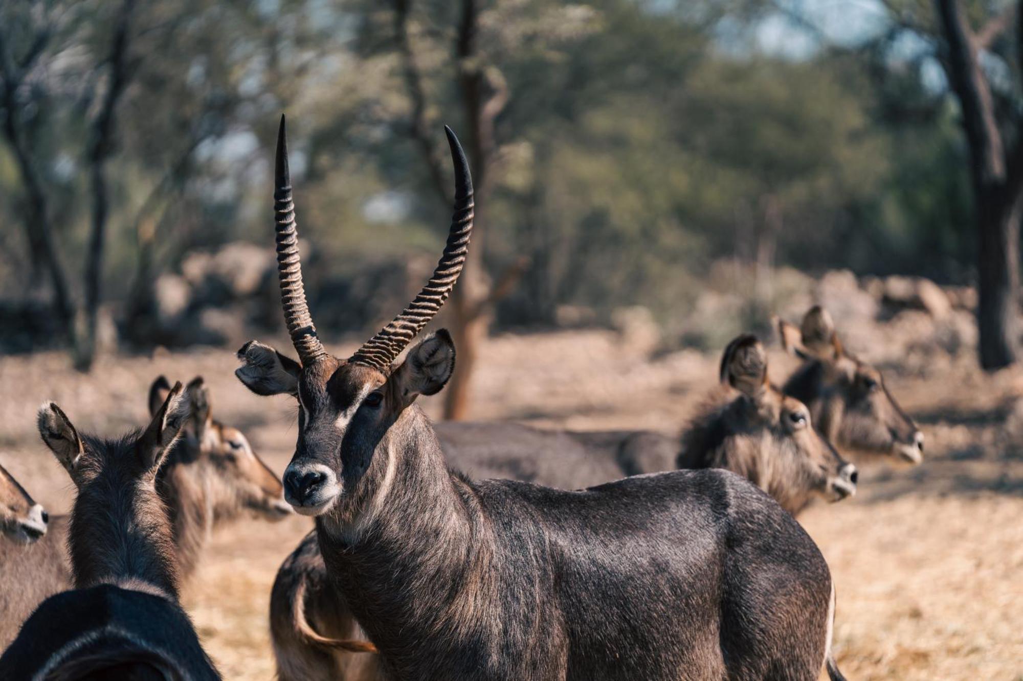 Omaruru Game Lodge エクステリア 写真