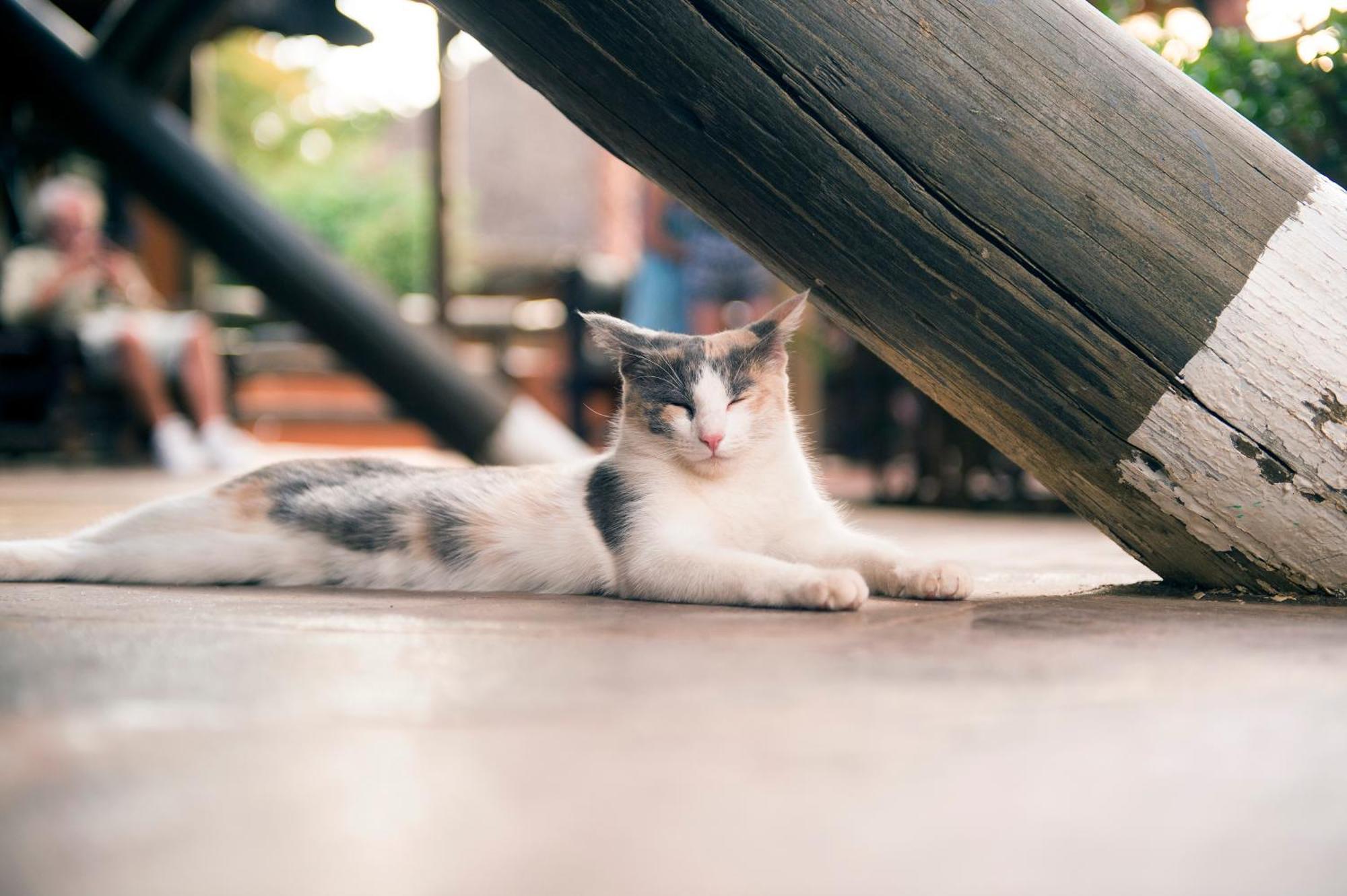 Omaruru Game Lodge エクステリア 写真